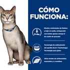 Hill’s Prescription k/d Diet Kidney Care Salmón sobre en salsa para gatos, , large image number null